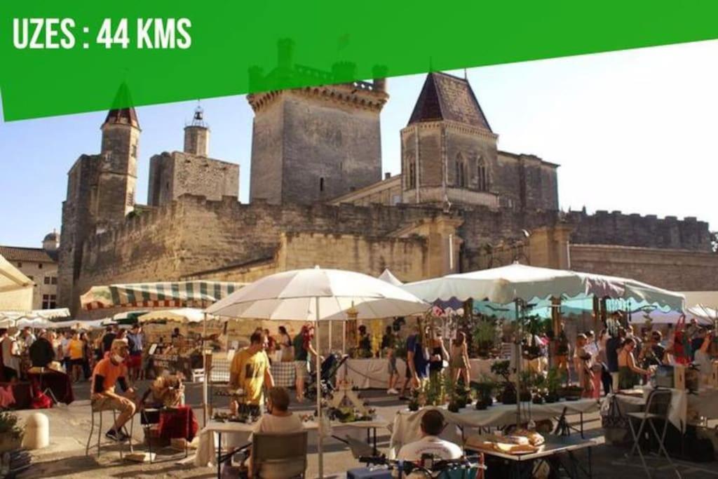 La Terrasse Des Carmes - Terrasse - Ac Clim - Spacieux Avignon Exteriör bild